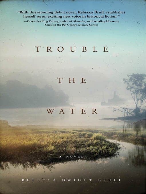 Cover of Trouble the Water